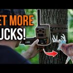 Trail Camera Placement Guide — Where & How to Hang for Best Results
