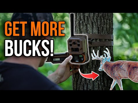 Trail Camera Placement Guide — Where & How to Hang for Best Results