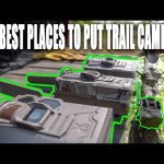 TRAIL CAMERA SECRETS (MY FAVORITE PLACES TO PUT CAMERAS!)