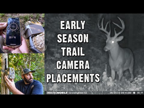 Trail Camera Tips Maximize Your Trail Camera for Deer Season 2023