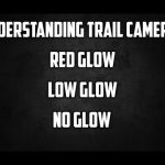 Trail Camera Types: No Glow vs. Low Glow vs. Red Glow
