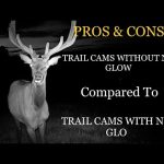 Trail cameras pros & cons without no glow compared to trail cams with no glow