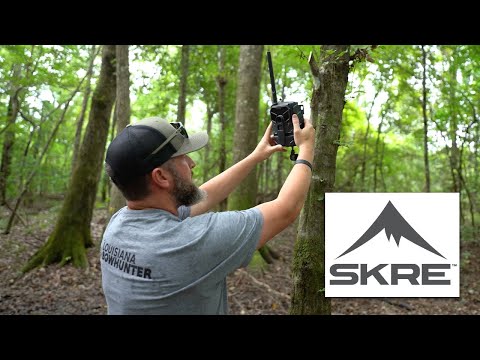 Whitetail Hunting Strategies: Trail Cam Tips for Early Season Hunting