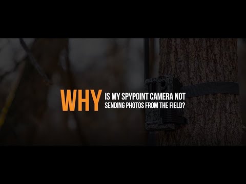 Why is my SPYPOINT Camera Not Sending Photos From the Field | SPYPOINT