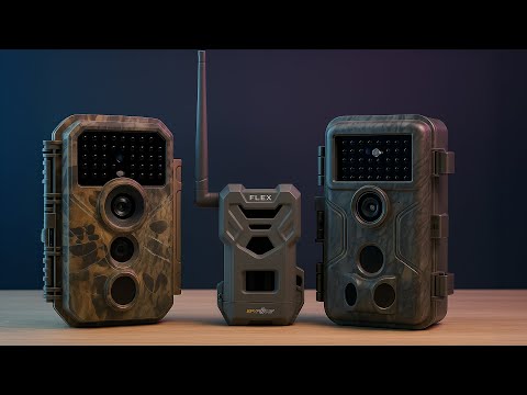 Wildlife Experts Reveal Best Trail Cameras of 2025